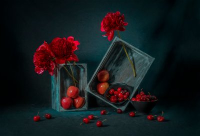Red Peonies and Cherries by Lydia Jacobs