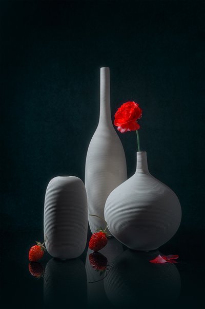 Red Poppy and White Vases by Lydia Jacobs