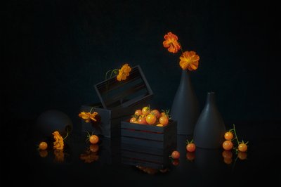Vibrant Harvest Still Life by Lydia Jacobs