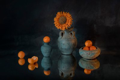 Vibrant Sunflower Mandarins by Lydia Jacobs