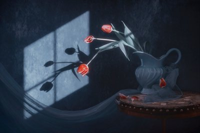 Window Light Tulips by Lydia Jacobs