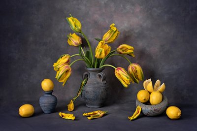 Yellow Tulips and Lemons by Lydia Jacobs