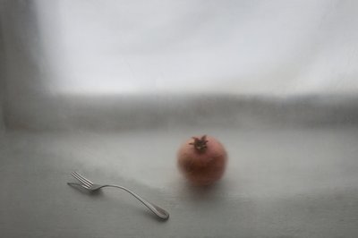 Soft Pomegranate Still Life by Lysenko Elena