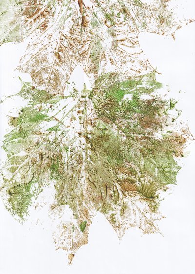 Autumn Leaf Print by Maira Ribena