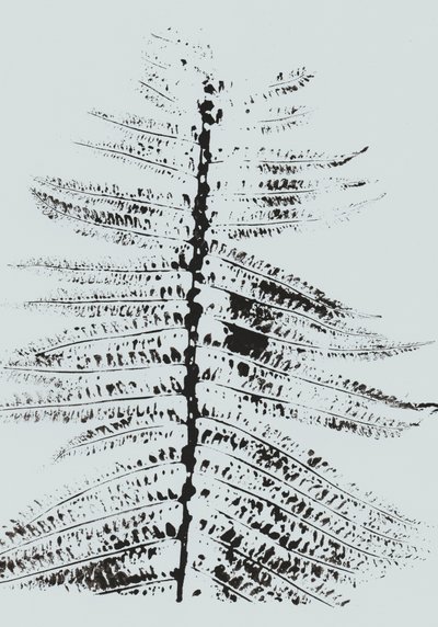 Black Ink Fern by Maira Ribena
