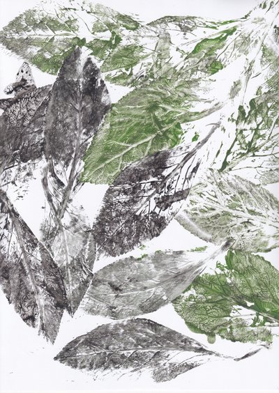 Botanical Leaf Prints by Maira Ribena