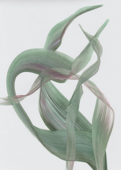 Organic Flowing Ribbons by Maira Ribena