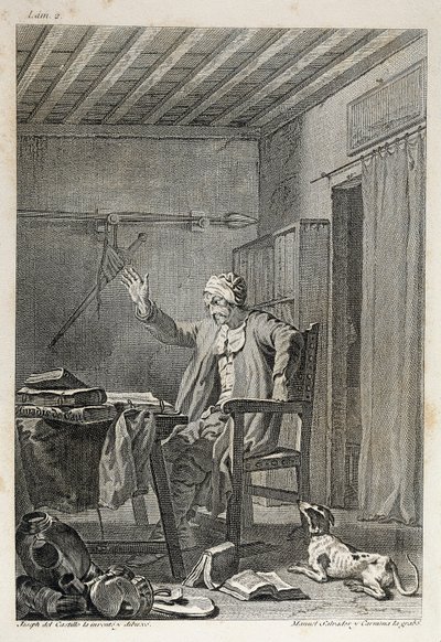 The Character and the Quest of the Famous Gentleman Don Quixote by Manuel Salvador Carmona