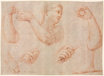 Study of a Young Woman Playing a Tambourine, and Studies of an Arm, Hands, and Feet (Studies for "Miriam Leading the Chorus of Women Who Give Thanks for the Routing of Pharoah") by Marcantonio Franceschini