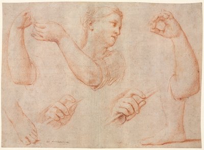 Study of a Young Woman Playing a Tambourine, and Studies of an Arm, Hands, and Feet, c. 1711 by Marcantonio Franceschini
