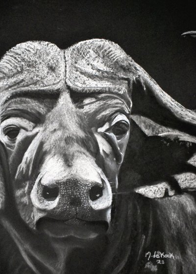 Bufalo by Marchelle de Kock
