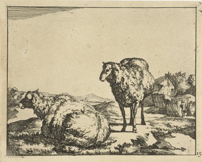 Standing and Lying Sheep with Farm in Background by Marcus de Bye