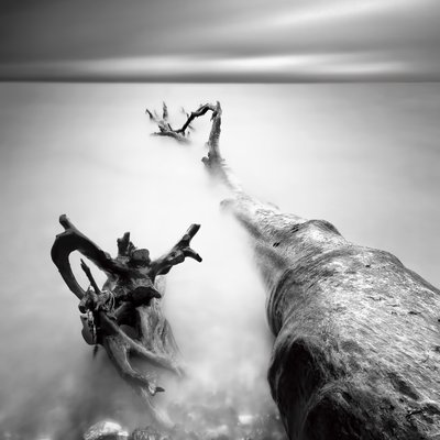 Misty Driftwood Serenity by Marek Kijevský