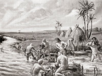 Early Settlers in Babylonia Draining the Marshes by Building a Dam, from Hutchinson