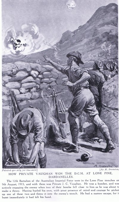 How Private Vaughan Won the DCM at Lone Pine Dardanelles August 1915 by Margaret Dovaston