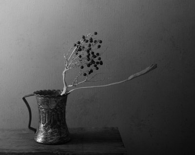 Dark Berries Still Life by Margaret Halaby