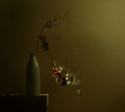 Moody Botanical Still Life by Margaret Halaby