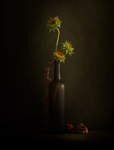 Moody Sunflower Still Life by Margaret Halaby