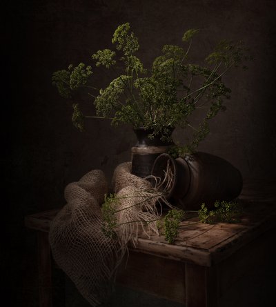Dark Botanical Still Life by Margareth Perfoncio