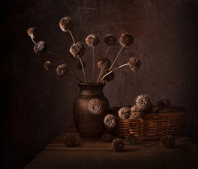 Earthy Dried Flowers by Margareth Perfoncio