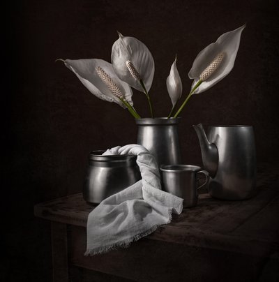 Elegant Peace Lilies by Margareth Perfoncio