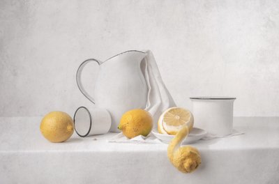 Fresh Lemons Still Life by Margareth Perfoncio