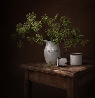 Moody Botanical Still Life by Margareth Perfoncio