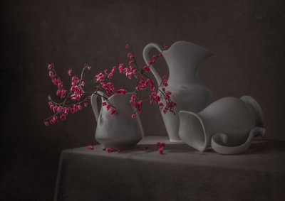 Pink Blooms And White Pitchers by Margareth Perfoncio