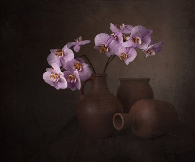 Purple Orchid Still Life by Margareth Perfoncio