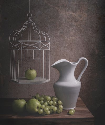 Rustic Birdcage Still Life by Margareth Perfoncio