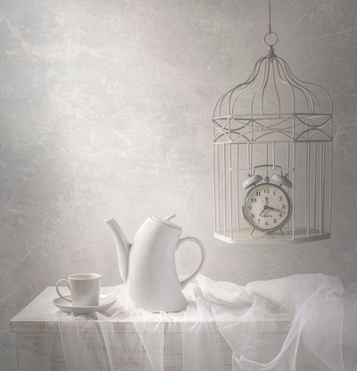 Time in a Cage by Margareth Perfoncio