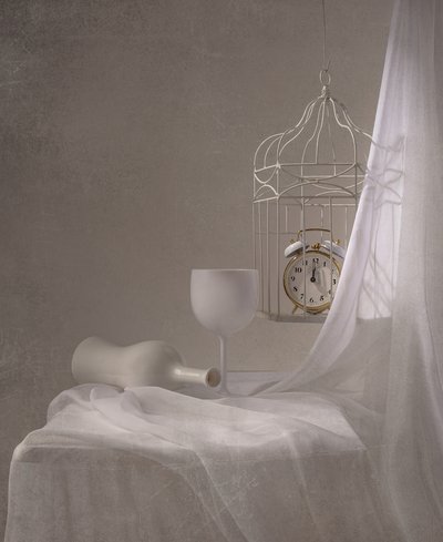 Timeless White Still Life by Margareth Perfoncio