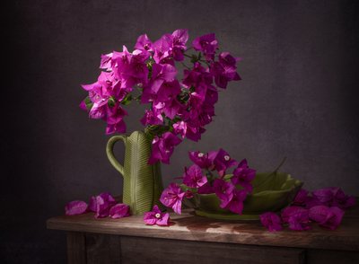 Vibrant Bougainvillea Still Life by Margareth Perfoncio