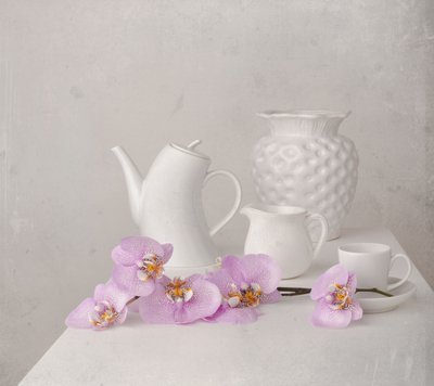 White Orchid Still Life by Margareth Perfoncio