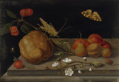 Still Life with Fruit, a Grasshopper and a Butterfly by Maria Sibylla Merian