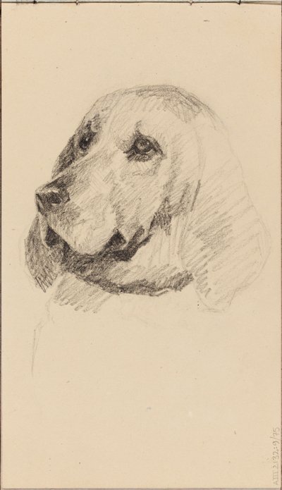 Head of a Dog by Maria Wiik