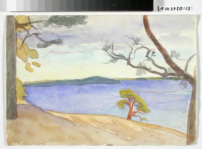 Shore Landscape by Maria Wiik