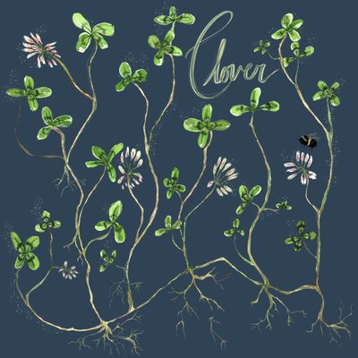 Clover Botanical, 2021 by Marianna Kulukundis