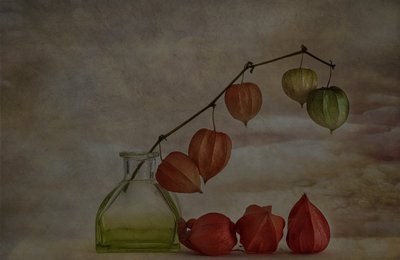 Quiet Autumn Lanterns by Marie-anne Stas