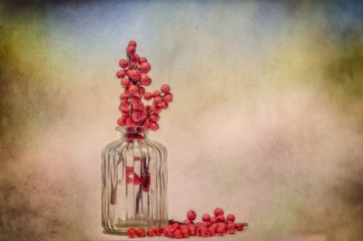 Rustic Berry Still Life by Marie-anne Stas
