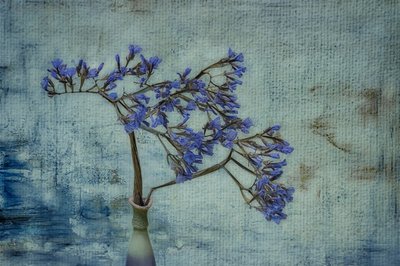 Rustic Blue Floral Vase by Marie-anne Stas