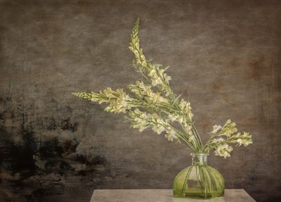 Rustic Floral Still Life by Marie-anne Stas