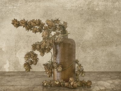 Rustic Hops Still Life by Marie-anne Stas
