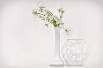 Star-of-Bethlehem by Marie-anne Stas