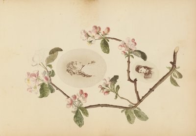 The Madame B Album by Marie Blanche Hennelle Fournier