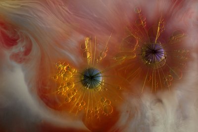 Ethereal Fluid Forms by Marijose Cueli