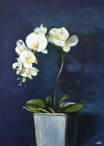 Elegant White Orchids by Marina Kozyr