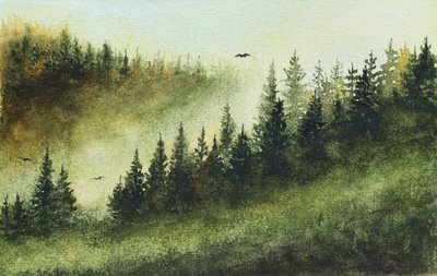 Misty Evergreen Forest by Marina Kozyr