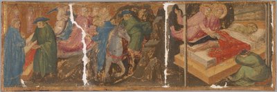 Scenes from the Legend of Saints Cosmas and Damian by Mariotto di Nardo