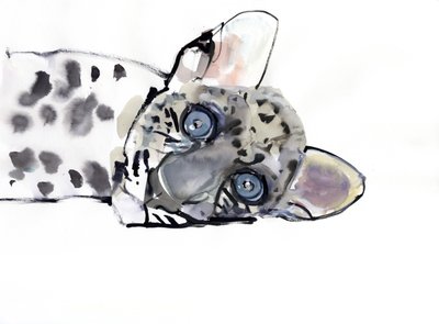 Arabian Leopard, 2008 by Mark Adlington